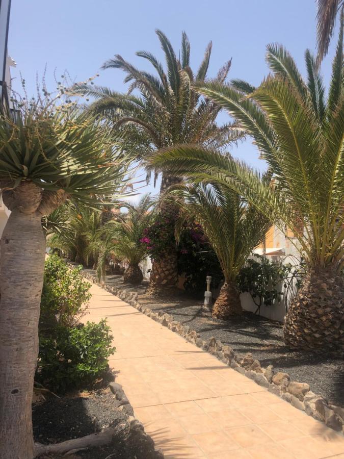 Apartamento Smile Complex Amaya Fuerteventura คอสตา เด อันตีกัว ภายนอก รูปภาพ