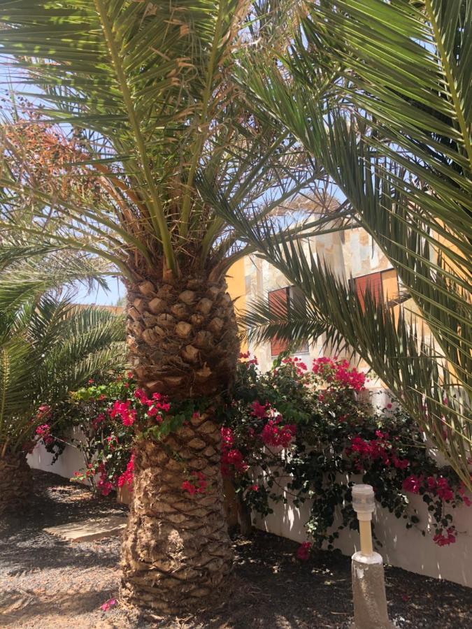 Apartamento Smile Complex Amaya Fuerteventura คอสตา เด อันตีกัว ภายนอก รูปภาพ